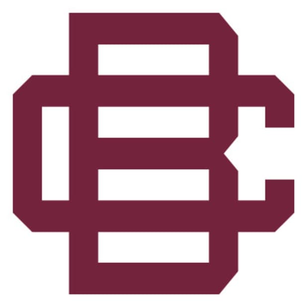 Bethune-Cookman Wildcats Logo